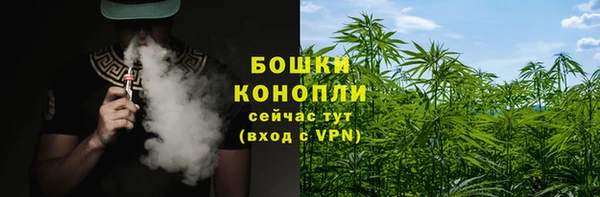 дурь Каменногорск