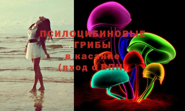 первитин Каменка