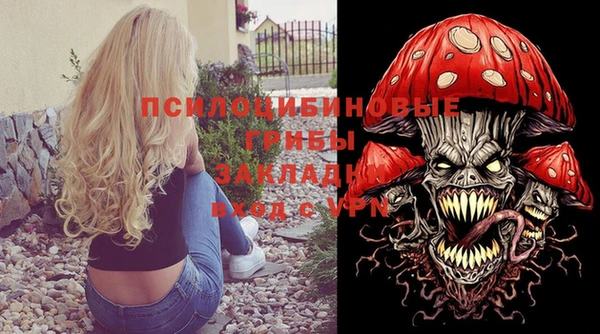 спиды Каменск-Шахтинский