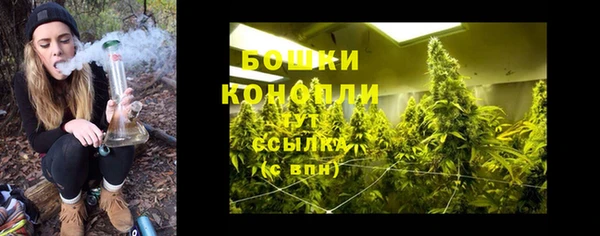 первитин Каменка