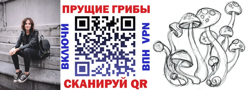 Галлюциногенные грибы Psilocybine cubensis  Купить закладки  Гаджиево 